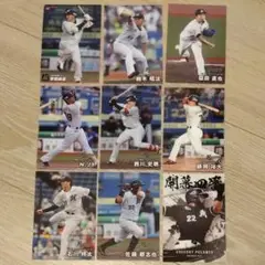 Item thumbnail for item 0e012381-041f-4e43-abaf-de3c79c5a613