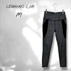 Item thumbnail for item 9927feb6-0c57-4ec7-bcd0-24a02b7789d9