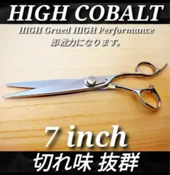 Item thumbnail for item 02ded61f-66b7-4cb2-a643-4b5c34a795ee