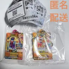 アイカツ　だれでもアイドル活動アクリルチャーム2 ひなきセット