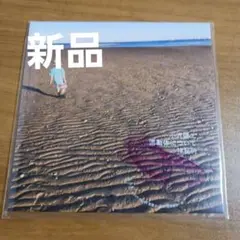 新品　小沢健二　流動体について