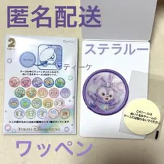 ディズニー　カラフルハピネス20周年　ステラルー　ワッペン