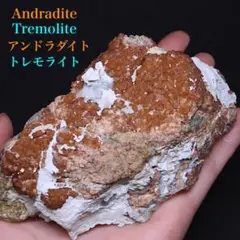 Item thumbnail for item 103fb5c5-8a0d-46e8-a894-20a9a79ecb88