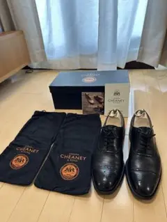 【見切価格】JOSEPH CHEANEY ウィルフレッド ダイナイト　71/2