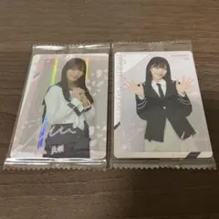 Item thumbnail for item 465353e8-3e4c-40d5-87f3-7e610a77d2a4