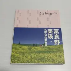 【まとめ売り値引き可】ことりっぷ 富良野 美瑛 札幌 旭山動物園