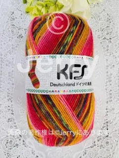 Opal毛糸: KFS [ドイツの風景] ハンブルグ 1玉