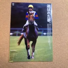 グラスワンダー　ヒーロー列伝　クリアファイル　未開封　非売品　JRA