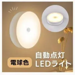 ライト