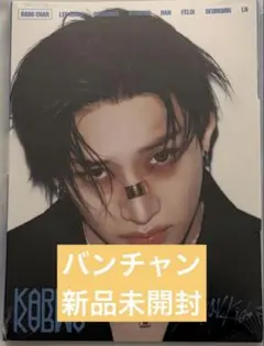 stray kids straykids KARMA バンチャン 新品未開封