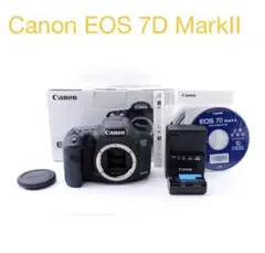 Item thumbnail for item 475b8c42-a68d-4931-9619-973b79507a5d