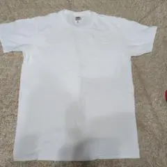 optstuff Tシャツ　FRUIT OF THE ROOM