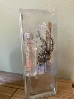 Item thumbnail for item ba613bbe-5e57-4ab1-a7a2-94698a205edd