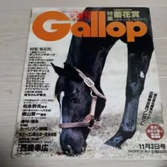 025 週刊ギャロップGallop1996年11月3日号西崎幸広/松永幹夫