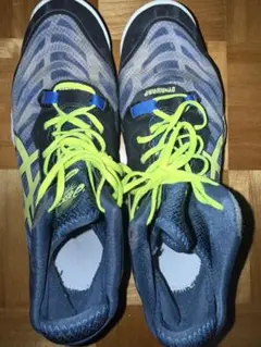 Item thumbnail for item 208543fb-6217-4541-9c9d-96ff75a044b3