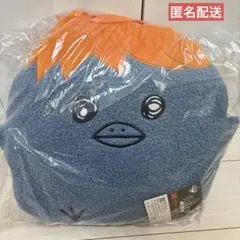 ハイキュー 一番くじ ヒナガラス ふわふわ クッション