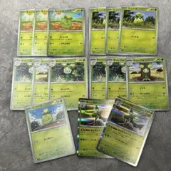 ポケモンカード オリーヴァex 進化ライン　ミニーブ　オリーニョ