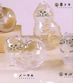 うちの子のけだまだま ガチャ 茶トラ ノーマル 正規品