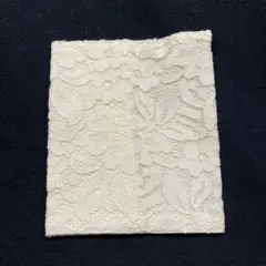 レース マスクケース