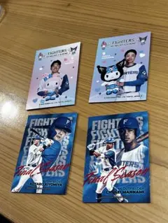 ファイターズ トレーディングカードセット