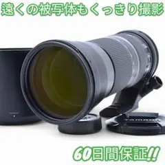 Item thumbnail for item 094f93d5-ebc9-4b30-a909-e0a5a5673c1a