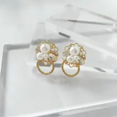 きらわ 本日限定!!定価より10%off