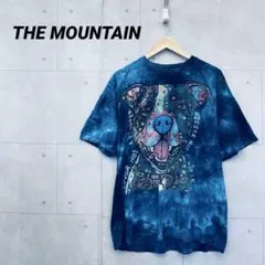 THE MOUNTAIN ザマウンテン Tシャツ メンズ XL 紺 白