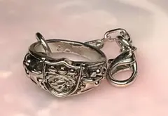 リボーン コレクションチャーム 嵐 ボンゴレリング 獄寺隼人
