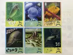 【鳥羽水族館】コレクションカード 6枚セットL
