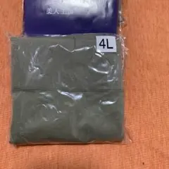 Item thumbnail for item eff21627-536c-4b57-9524-740e113da890