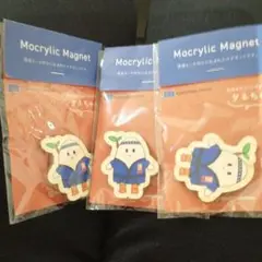 【匿名配送】マグネットタネちゃん3個セット（EU）