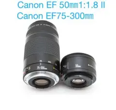 Item thumbnail for item 141bed44-50d8-4b65-b156-0f9c7467ab63