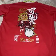 ゴーセン　廃盤限定Tシャツ　M