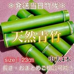 天然青竹！中太23cm×4本！