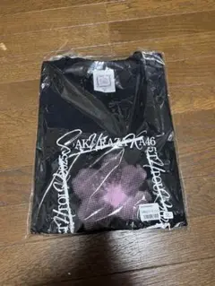 Item thumbnail for item 8e3230dd-dc70-43c9-a5eb-4ea20ac06043