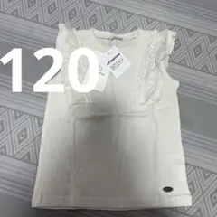 Tシャツ120