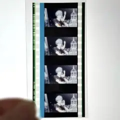 タブナイ　コマフィルム　蘭丸