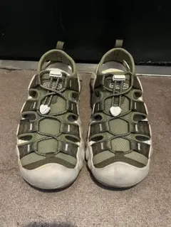 Item thumbnail for item 8eae4a69-4865-4d5a-aa0e-f9b7a05a8d9d