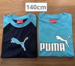 【PUMA 】半袖Tシャツ　140cm 2枚セット
