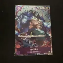 コンプリートガイド　カイドウ　プロモ