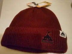 Item thumbnail for item 32644a2d-5e9f-402a-8b15-8d2e7df45cea