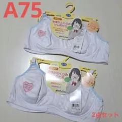 新品 A75 グンゼ ピエクレール ジュニアブラジャー ホワイト 2枚セット
