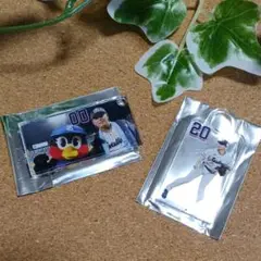 東京ヤクルトスワローズ アクリル 赤羽&木澤