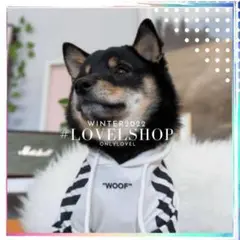 WoofããŒã«ãŒãã¯ã€ããç¬æ ãã¬ãã« ãã°ããã¹ã㪠æŽç¬ãè±æŽ