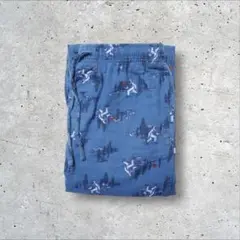 Item thumbnail for item 34e5254f-feaa-4a75-aab3-12b5ac15fb78