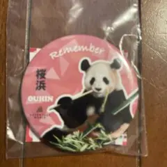 桜浜　アドベンチャーワールド　ガチャ缶バッジ　完売品
