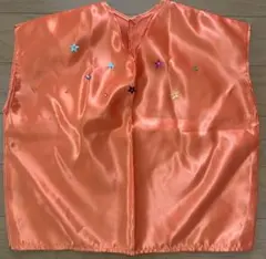 Item thumbnail for item 94e086cd-8a8a-4291-afe0-5e49a5377253
