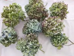 紫陽花ドライフラワーヘッド8本　秋色紫陽花　リース＊スワッグ花材