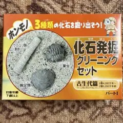 化石発掘クリーニングセット