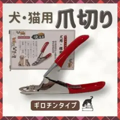 Item thumbnail for item 956aadee-8ced-44dd-b86a-50647ad14e0a